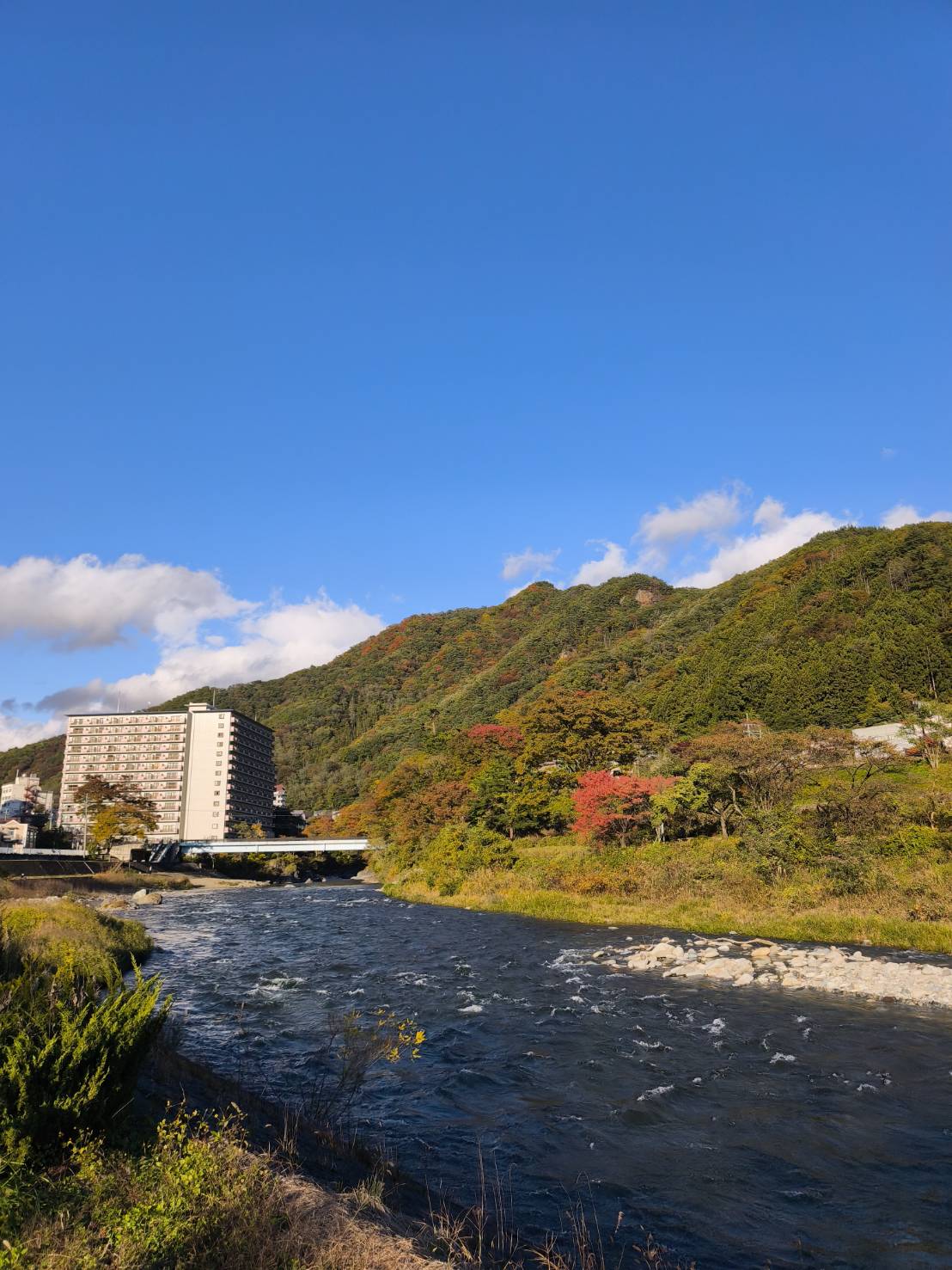 道の駅 みなかみ水紀行館からの景色