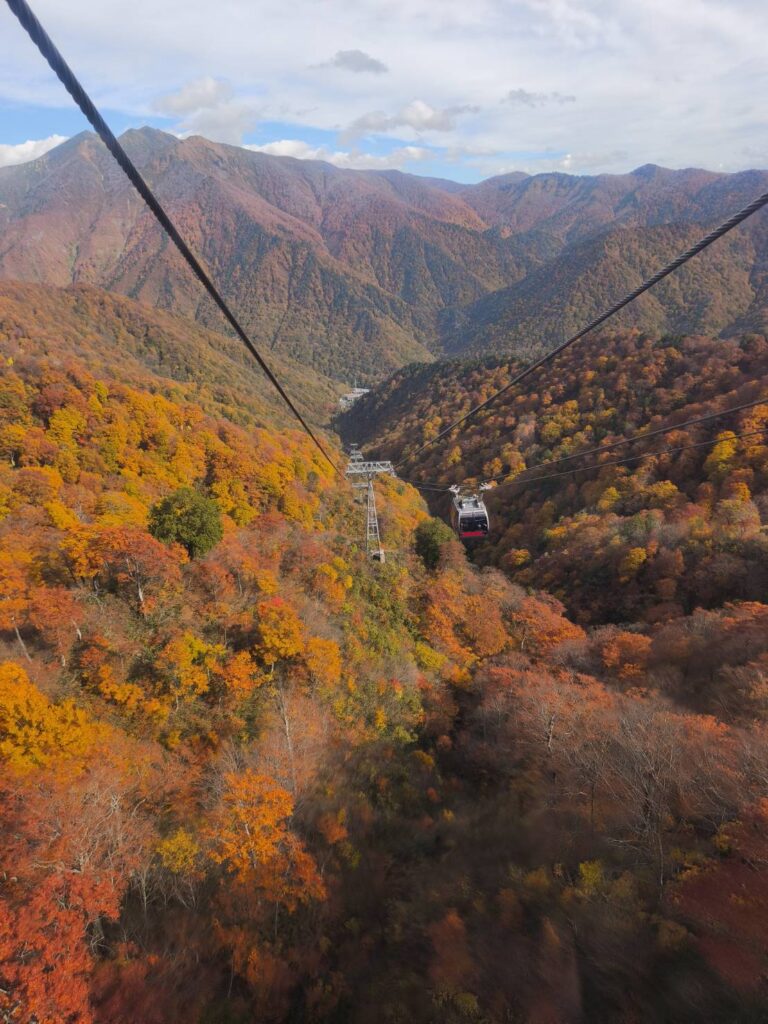 谷川岳ロープウェイからの紅葉