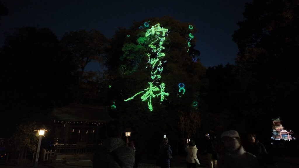 氷川神社プロジェクションマッピングされた木