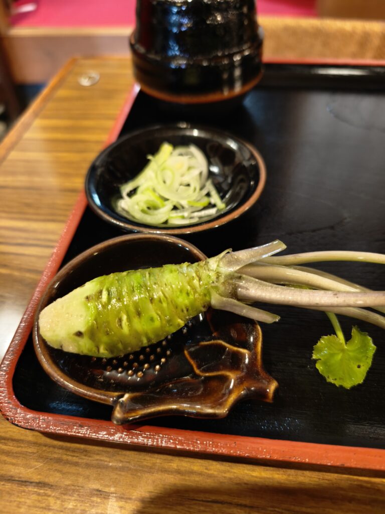 自分ですり下ろす、新鮮で大きな本生わさびと鮫皮おろし